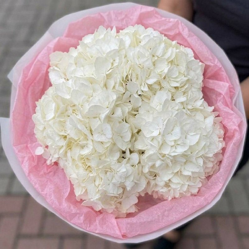 Моно-букет из белых гортензий